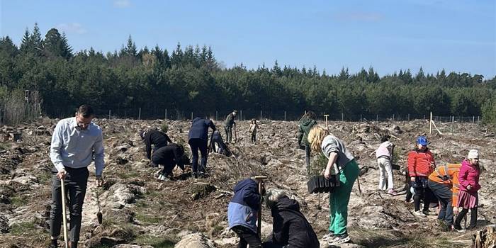 Buntes Treiben im Stadtforst bei der Fielmann Pflanzung im April 2025